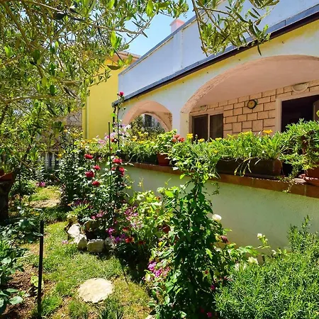 Mira 1296 Guest house